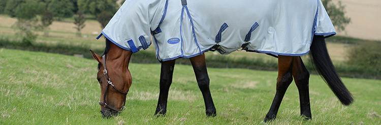 Fly Rugs available from brands including Shires, Horseware, Weatherbeeta and Gallop.